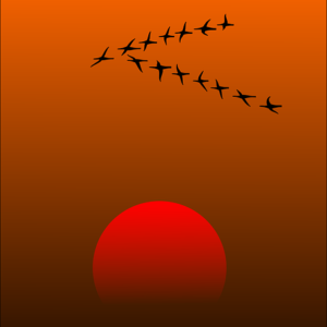 Migration des oiseaux